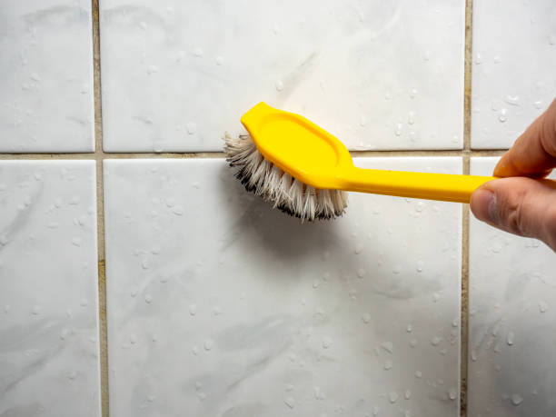 Reliable Hunter, TN Mold Removal Solutions
