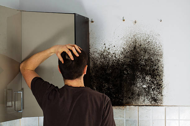 Best Crawl Space Mold Removal  in Hunter, TN